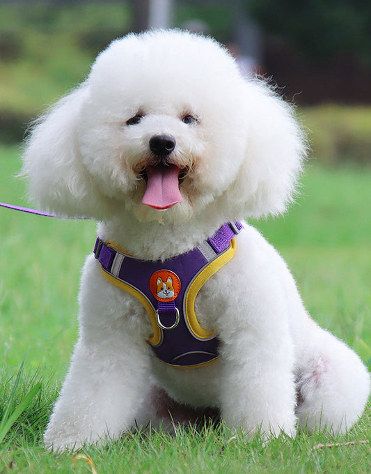 Dog wearing SnugStride™ No-pull dog harness adjustable and comfortable