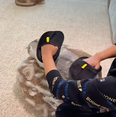 StaticSavior™ Static Hair Collector