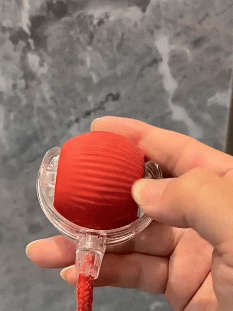 RolliPaw™ - Rolling Ball Toy