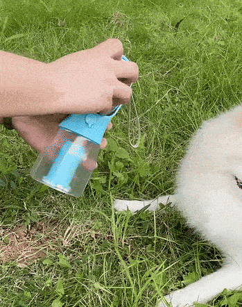 HydraPaw™ - 3 in 1 Travel Bottle